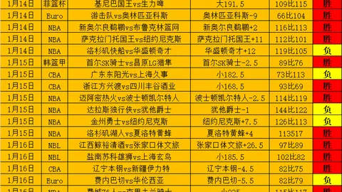 中国羽毛球大师赛落幕，国羽双冠环球时报报道