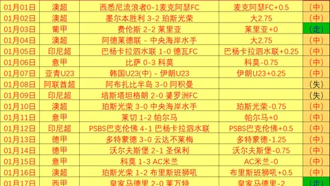 热刺瞄准更高排名，约翰逊铭记伊镇失利教训